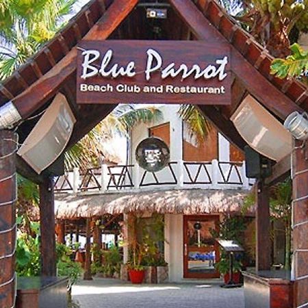 Blue Parrot Suites Πλάγια Ντελ Κάρμεν Εξωτερικό φωτογραφία