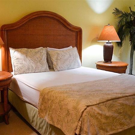 Blue Parrot Suites Πλάγια Ντελ Κάρμεν Εξωτερικό φωτογραφία