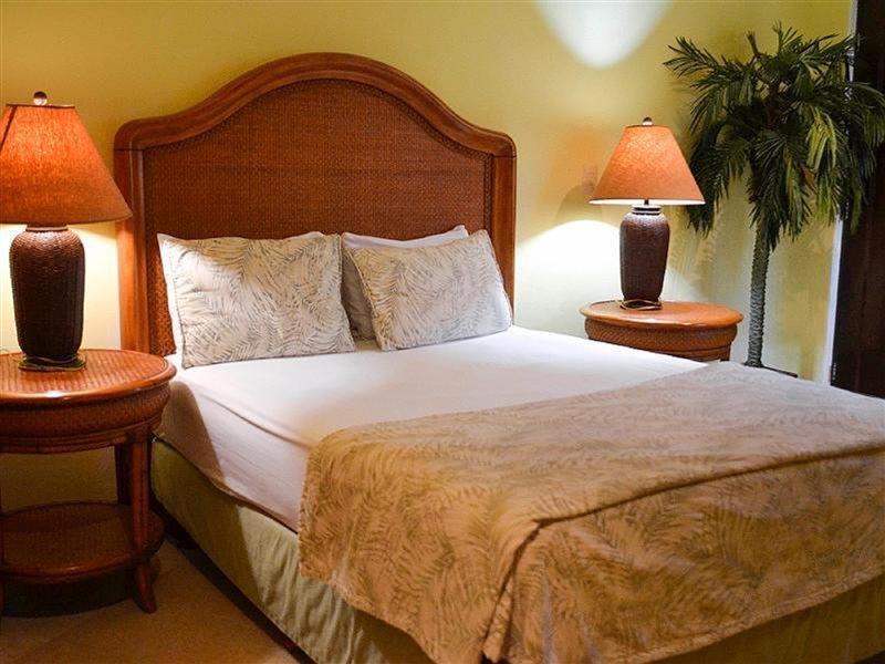 Blue Parrot Suites Πλάγια Ντελ Κάρμεν Εξωτερικό φωτογραφία