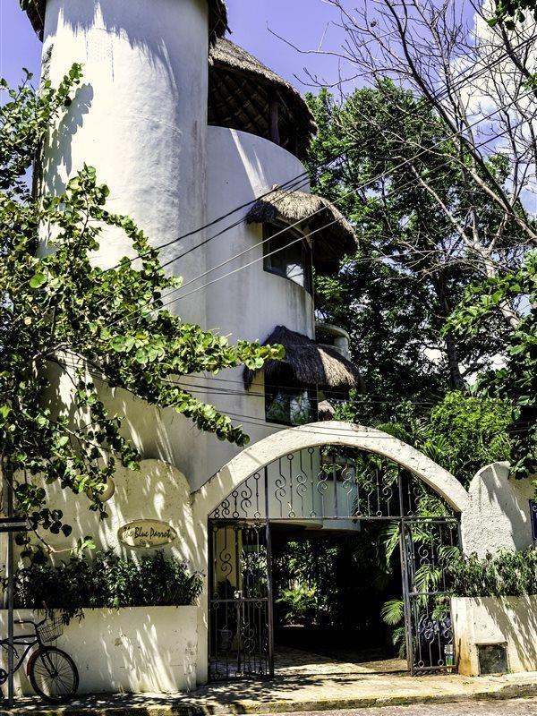 Blue Parrot Suites Πλάγια Ντελ Κάρμεν Εξωτερικό φωτογραφία