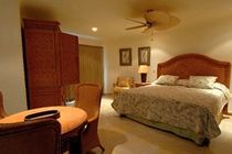 Blue Parrot Suites Πλάγια Ντελ Κάρμεν Εξωτερικό φωτογραφία